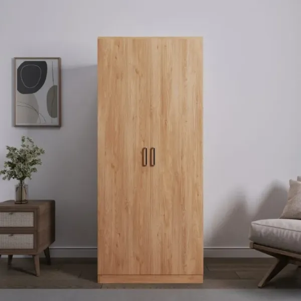Upgrade Your Bedroom with the Stylish Dakota 2 Door Wardrobe by Home Divine