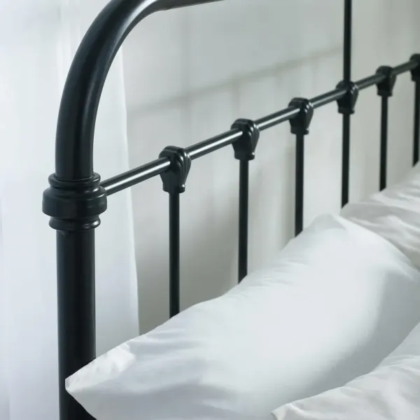Home Divine - Logan Metal Bed in Black Finish: Stylish & Durable Furniture