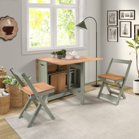 Santos Butterfly Dining Set sage green