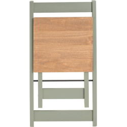Santos Butterfly Dining Set sage green table top