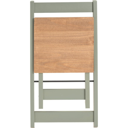 Santos Butterfly Dining Set sage green table top
