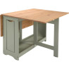Santos Butterfly Dining Set sage green table