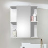Mandy 1 Door Mirrored Cabinet White