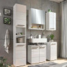 Mandy 1 Door Mirrored Cabinet White main