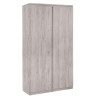 Jupiter 2 Door Wardrobe in Grey Oak closed
