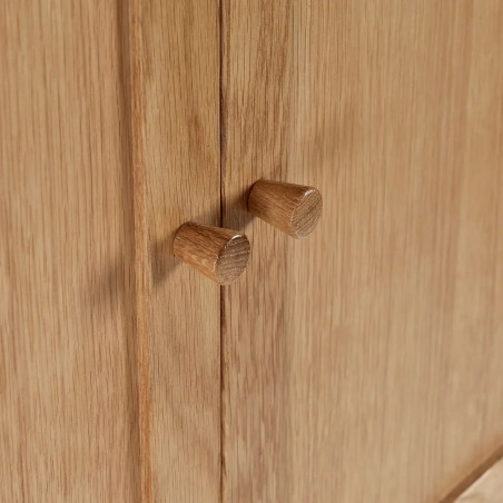 Coxmoor 2 Door Wooden Wardrobe Oak handles