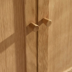 Coxmoor 2 Door Wooden Wardrobe Oak handles top
