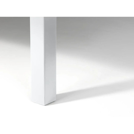 Bella Bunk Bed white leg