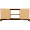 Corona 2 Door 1 Shelf Flat Screen TV Unit Distressed Waxed Pine side